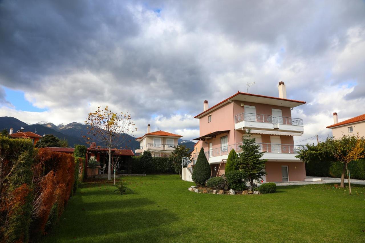 Villa Olympus Leptokarya  Exterior photo